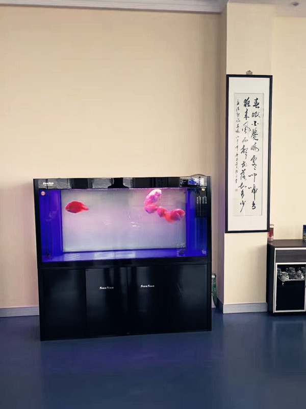 QQ图片20170920132122_副本.jpg