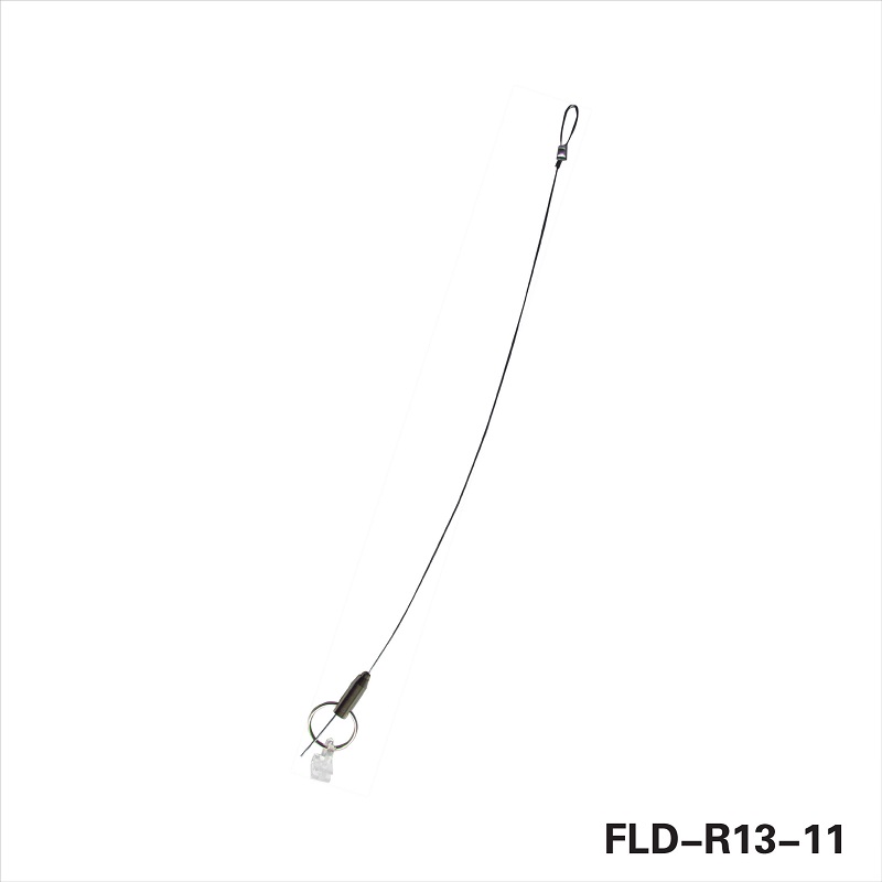 FLD-R13-11.jpg FLD-R13-11.jpg