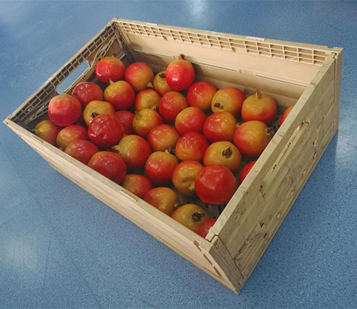 Nestable and stackable plastic crate
